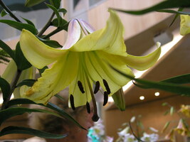 Foto: Dr. Peter Müller